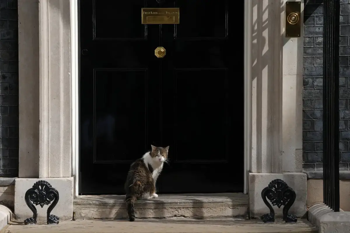 Motanul Larry, veteranul de la Downing Street, așteaptă un nou premier