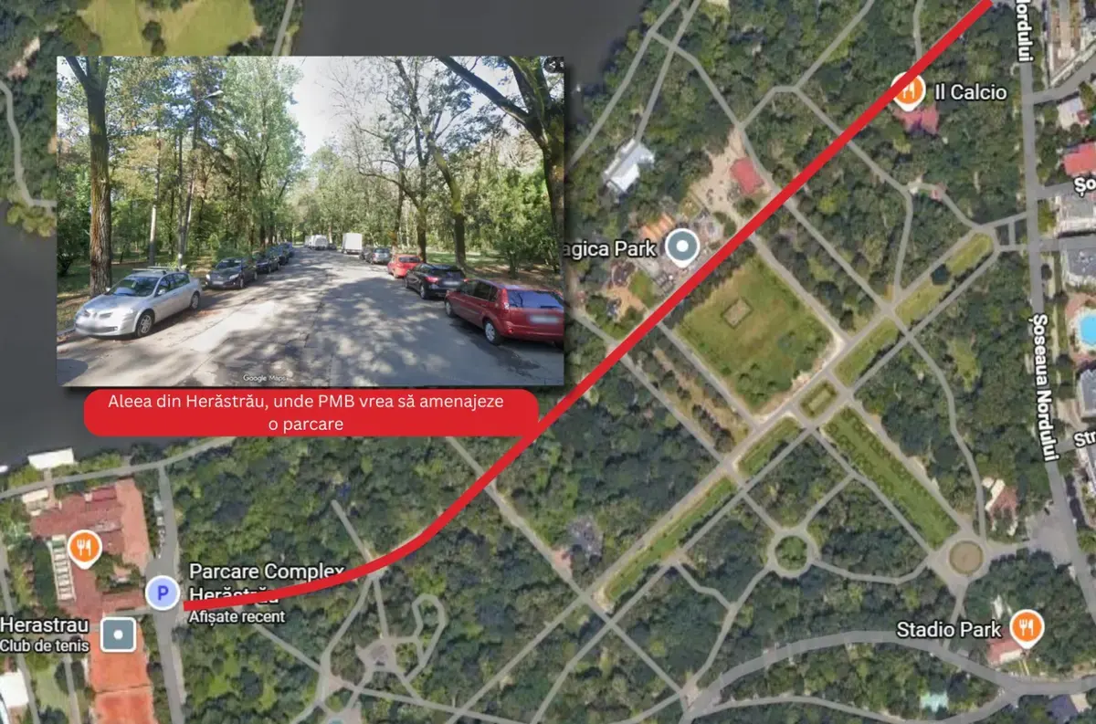 Primăria Capitalei a anunțat că amenajează o parcare de 500 de locuri în Parcul Herăstrău. „Faptul că s-a intrat