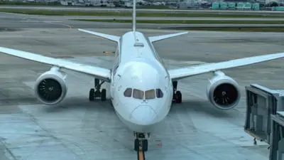 Aterizare de urgență la Aeroportul Otopeni: un avion ar fi lovit o pasăre