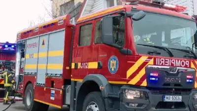 Pisici moarte lângă substanțe chimice într-o școală din Iași; verificări în timpul orelor