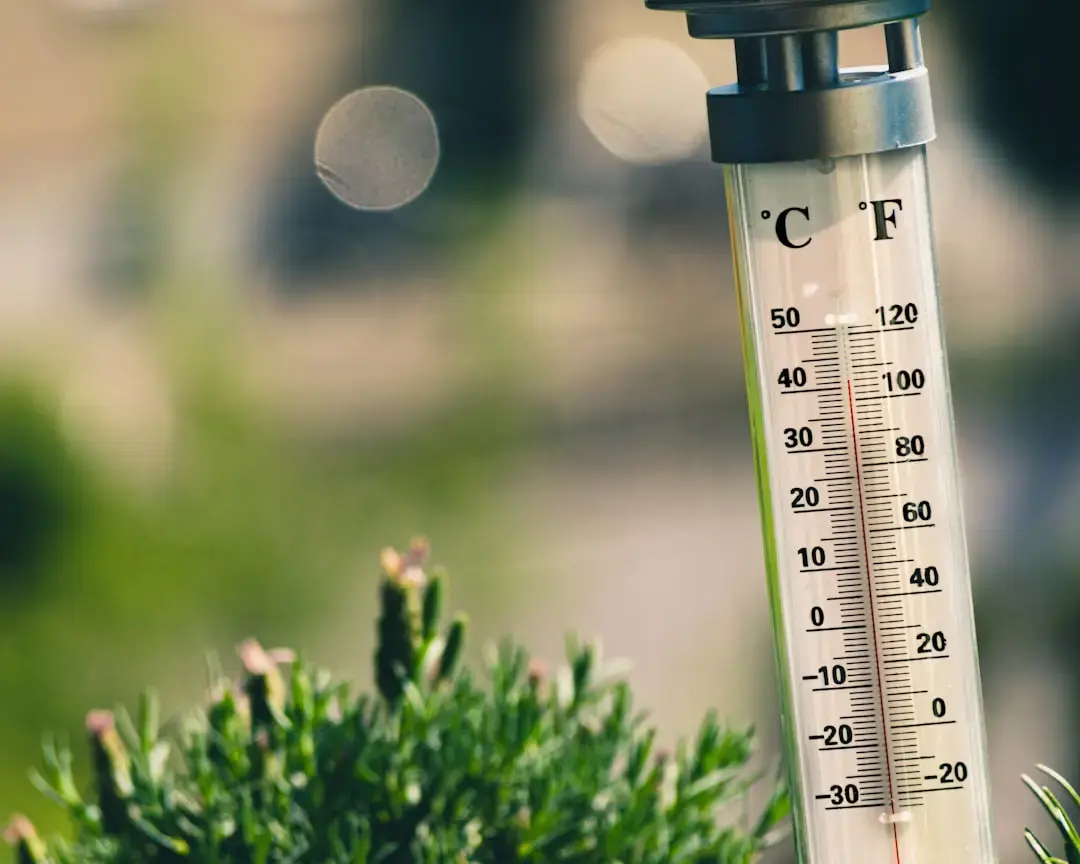 Prima ninsoare și temperaturi negative pe Transfăgărășan