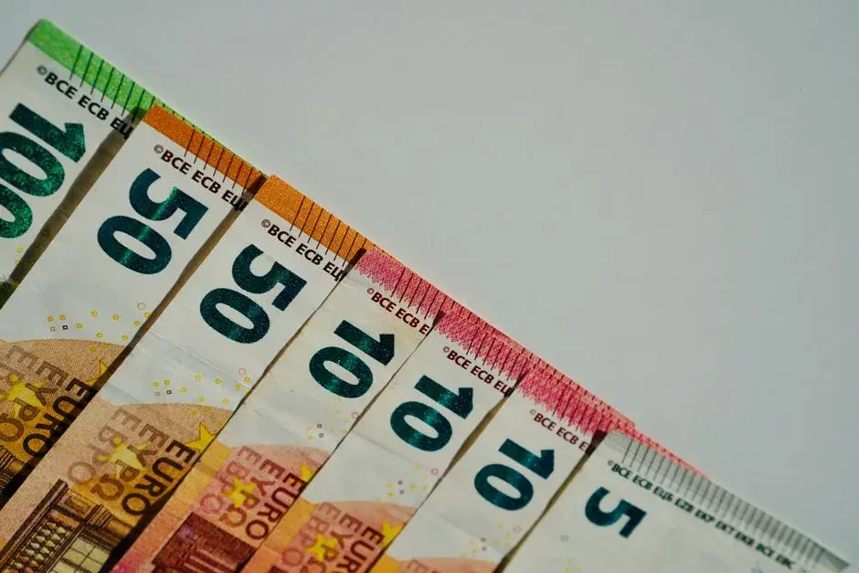 Viitorul buget european și noile soluții de asigurare pentru fermierii români