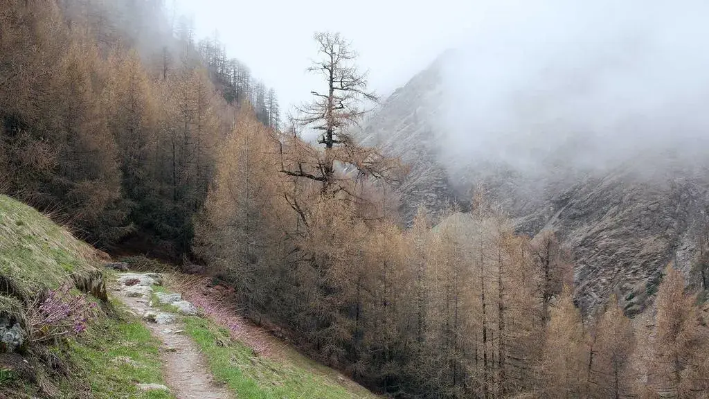 Cod galben de ploi și ninsori la munte în plină toamnă