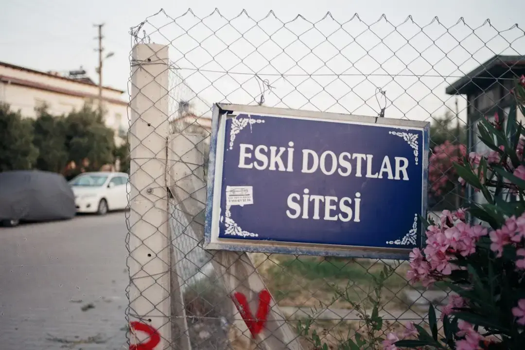 Constanța plătește peste 60.000 de euro pentru artiști la concertele folk din Piața Ovidiu