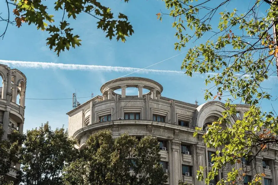 Cum reacționează lumea la noua guvernare Niculescu