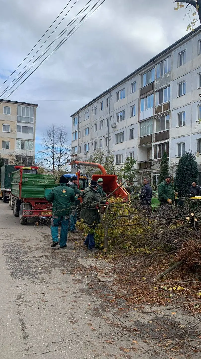 Curățenia de toamnă la Lugoj: Când se scot deșeurile vegetale