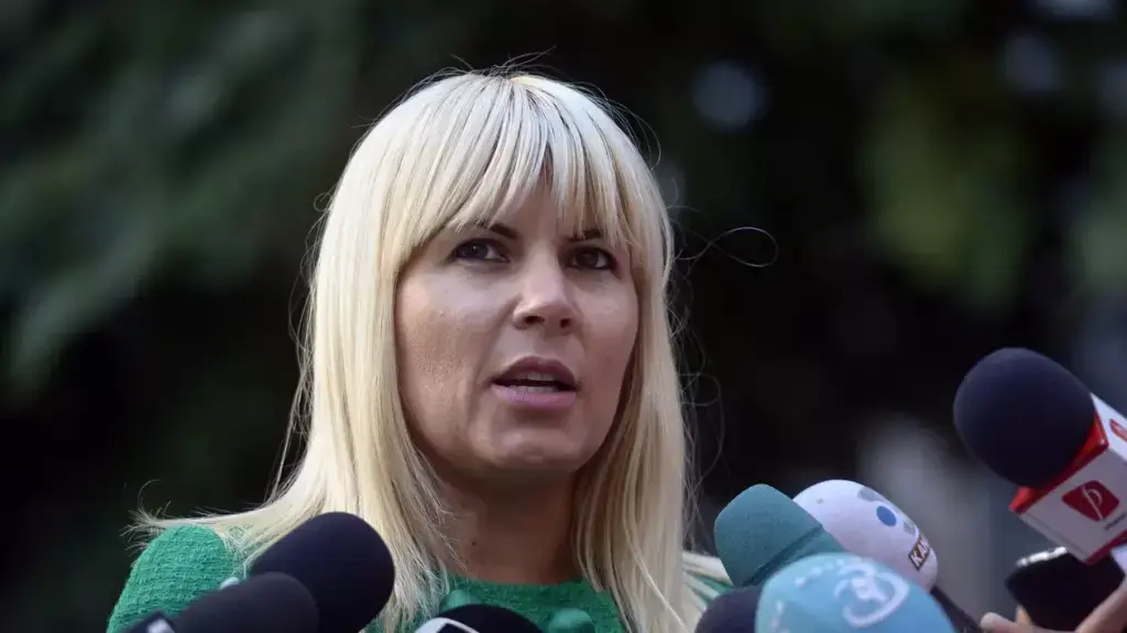 Elena Udrea propune un nou premier după căderea guvernului Mureșan