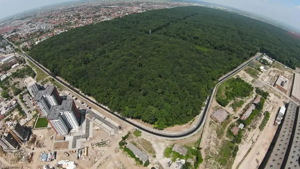 Investiție de 20 de milioane de lei pentru noua pădure-parc din Timișoara