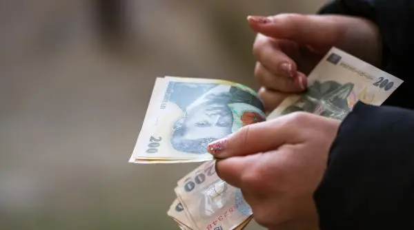 IT-ul a fost lovit de taxe, deși contribuia cu 9,7% la PIB