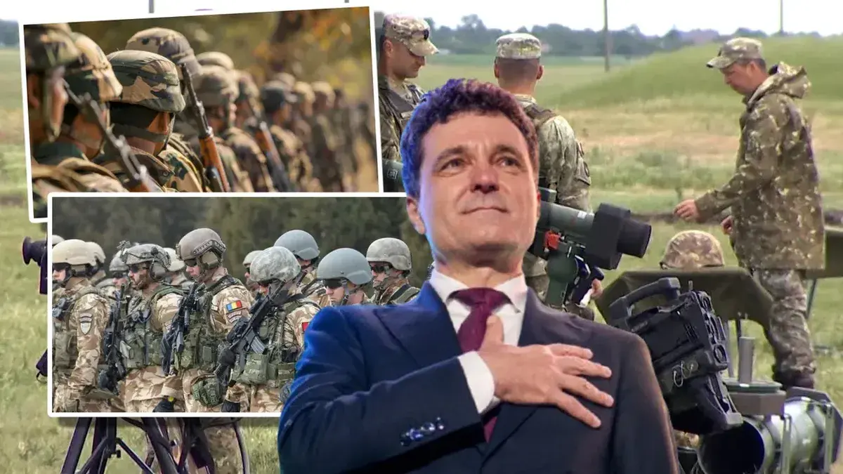 Legea privind serviciul militar voluntar rămâne fără norme de aplicare, guvernul avea 90 de zile