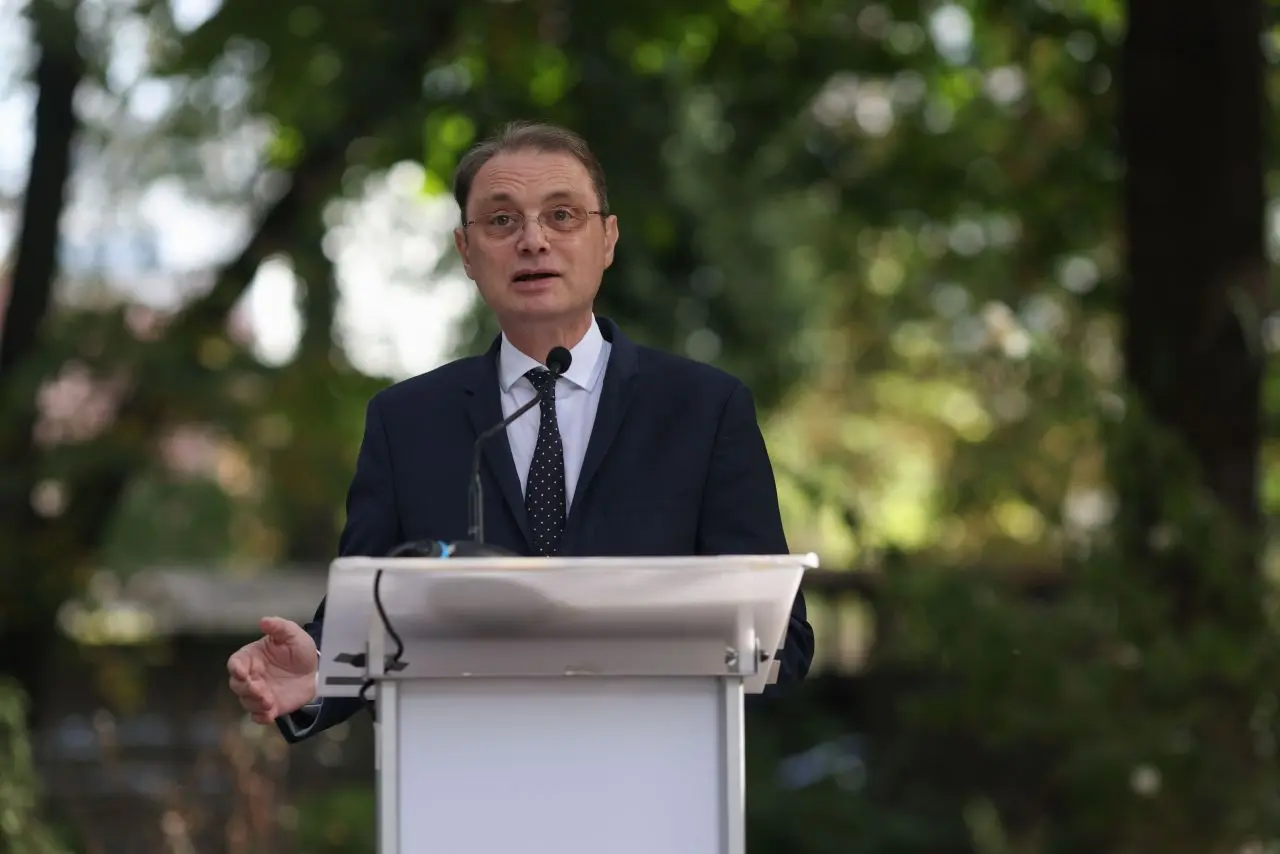 Premierul Niculescu nu exclude depunerea mandatului, va decide când se apropie termenul