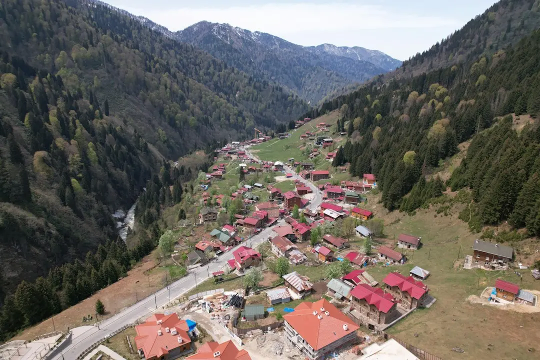 Primăria Arad caută fonduri după ce campusul școlar nu a fost finalizat la timp, pierzând 4,4 milioane lei