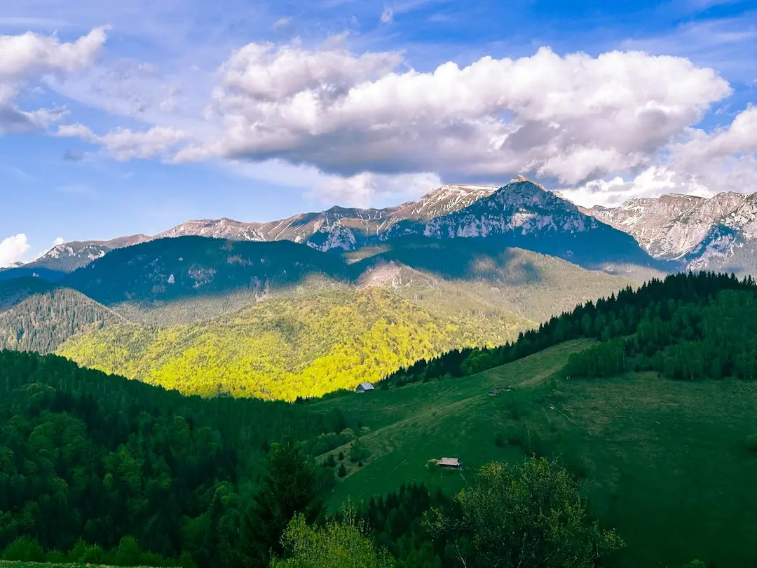 Cum a „tăiat” Primăria Țibănești un contract pentru a evita licitația publică