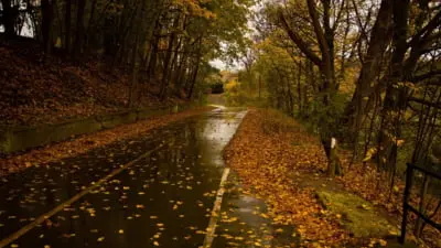 Cum va fi vremea în noiembrie: Prognoza meteo pentru următoarele săptămâni