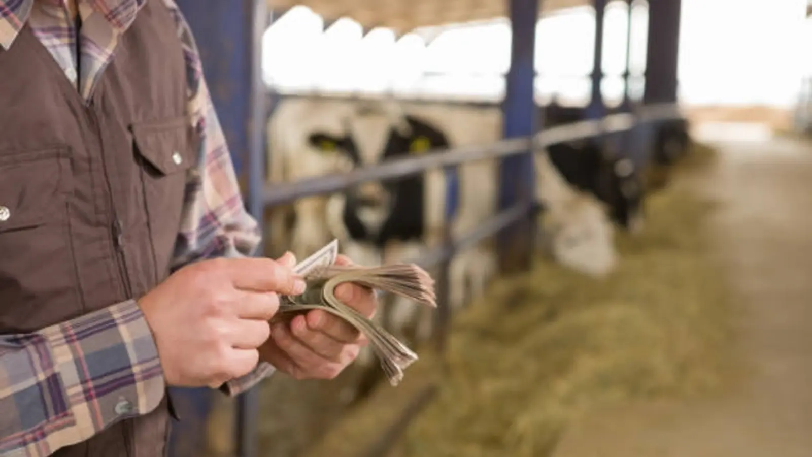 România obține sprijin european pentru fermieri dincolo de 2027