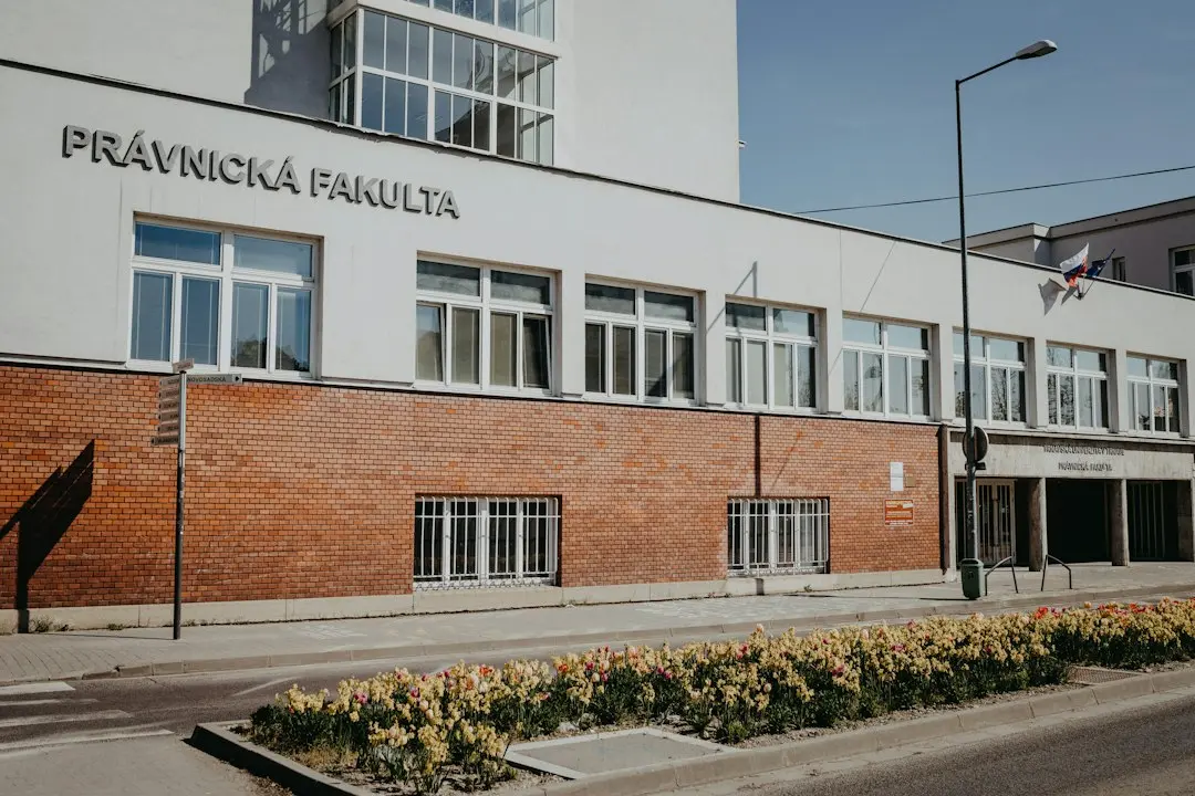 Șantier în forță la Școala Gimnazială nr. 3 din Pipera: Noua sală de sport prinde contur