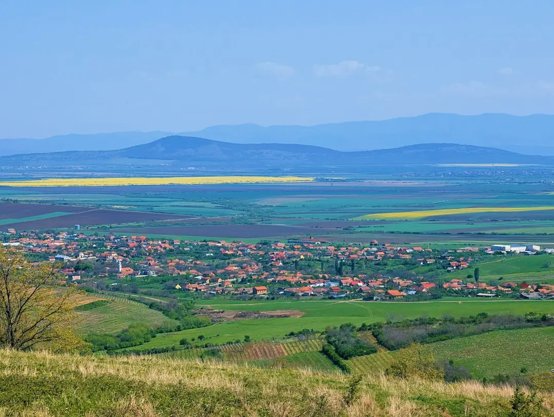 Val de arestări în masă în Europa după o noapte de proteste violente