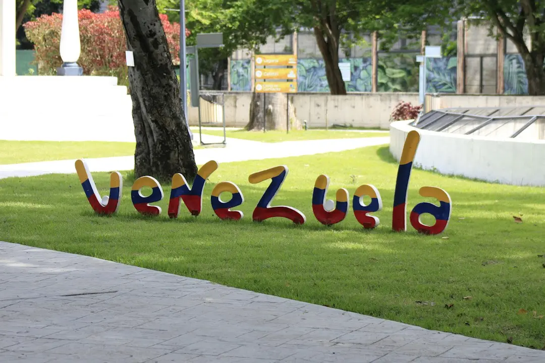 Valea Saulei, o oază de natură sălbatică în inima Bucureștiului